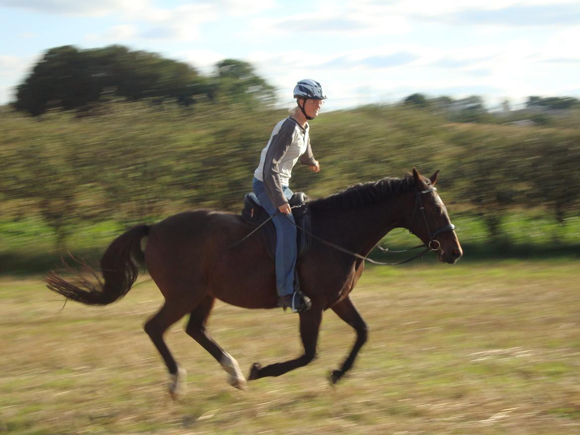 Oldenborg Rambo - sidste dag i august 2012 billede 20