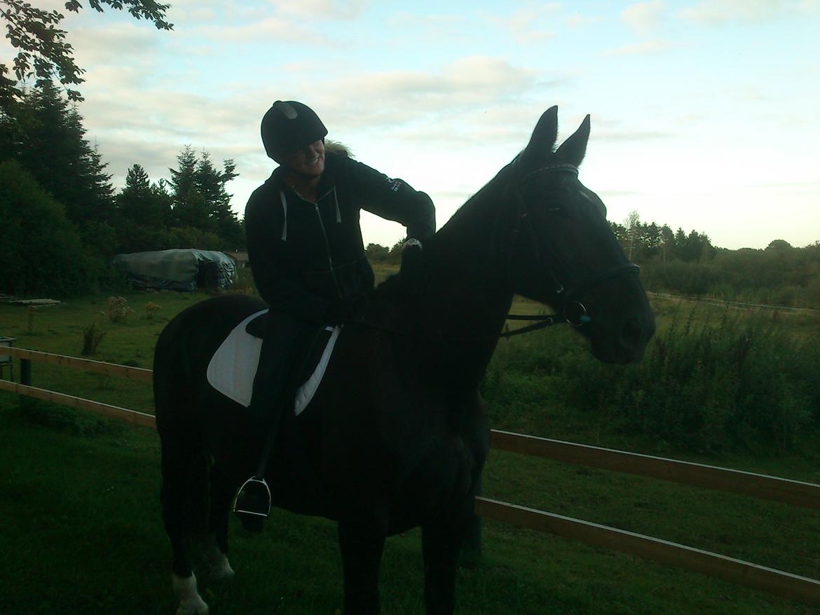 Oldenborg Lorenz  *Himmelhest* billede 12