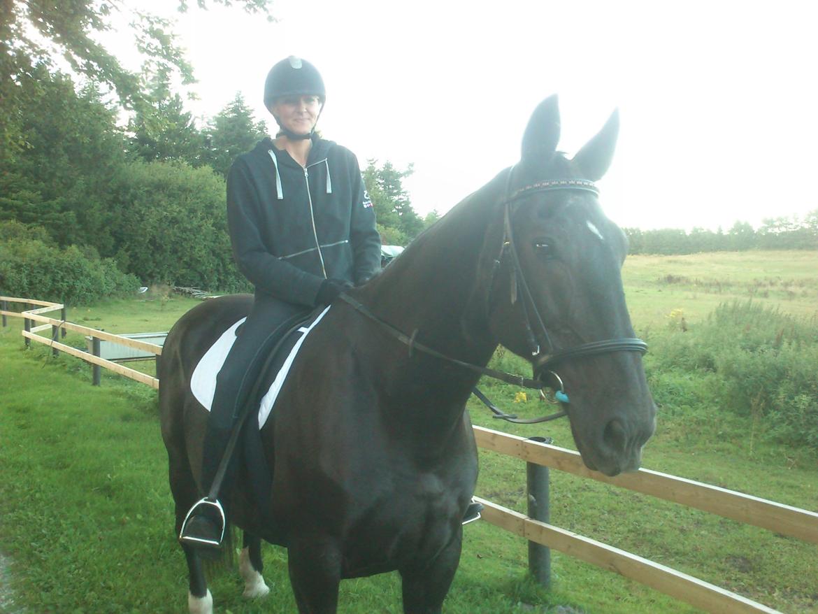 Oldenborg Lorenz  *Himmelhest* billede 13