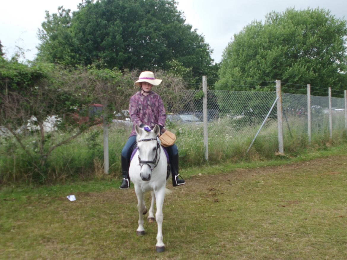 Connemara Perle :) - Dyrskue 2012.  billede 5