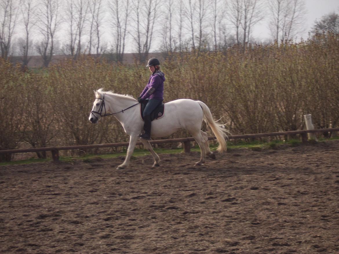 Connemara Perle :) - April 2012. billede 8