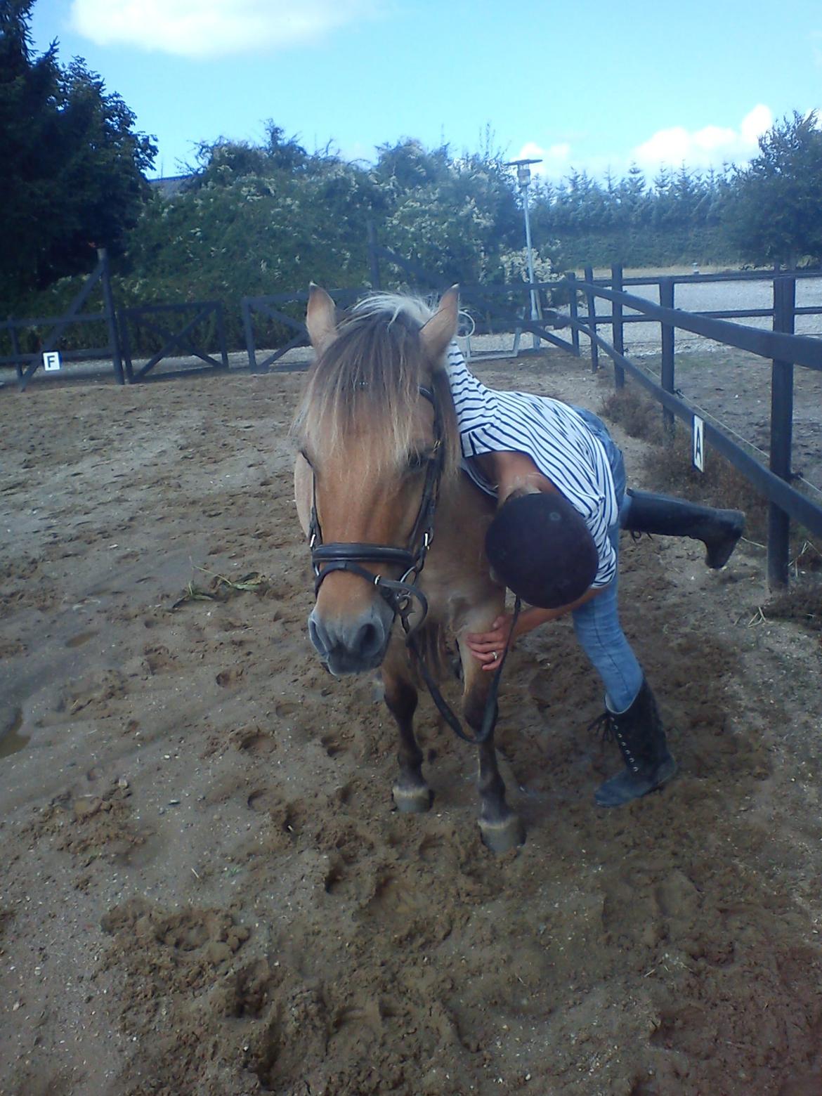 Anden særlig race Lady!<3. - Glider af hende, waaau!
Foto: Søster/Marianne Sørensen.. billede 11