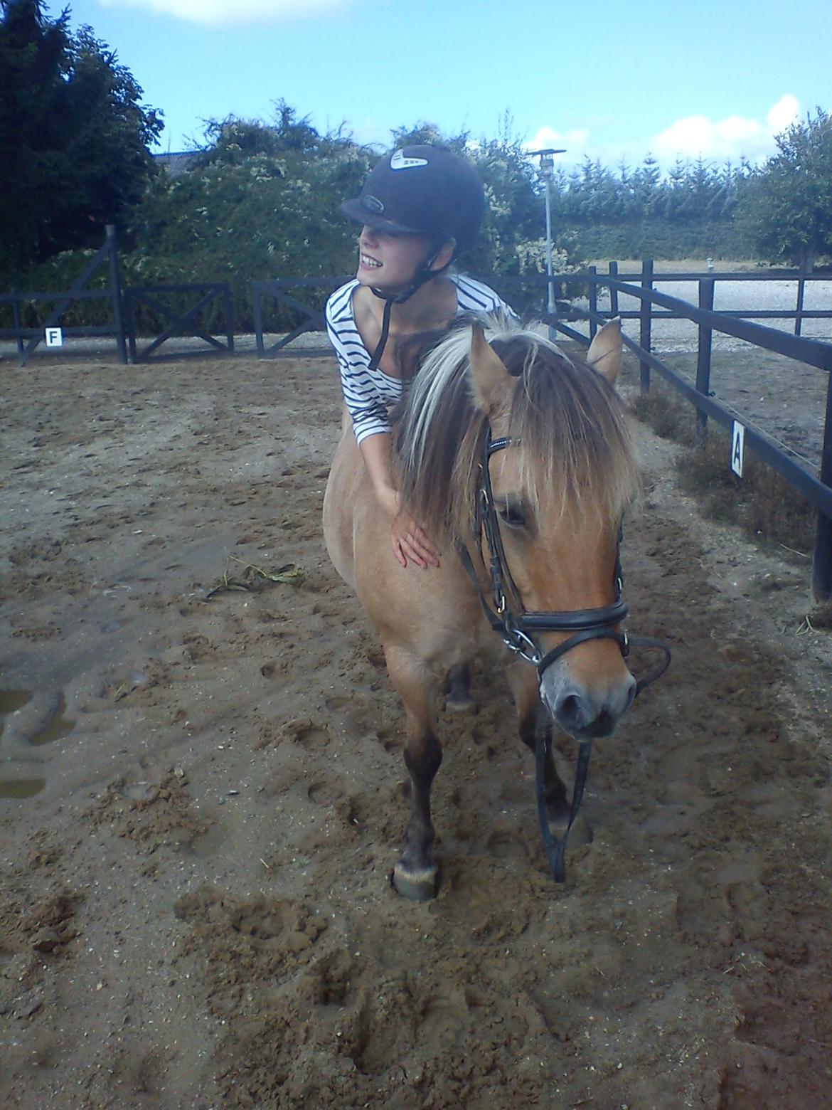 Anden særlig race Lady!<3. - Ligger ned.. 
Foto: Søster/Marianne Sørensen.. billede 12