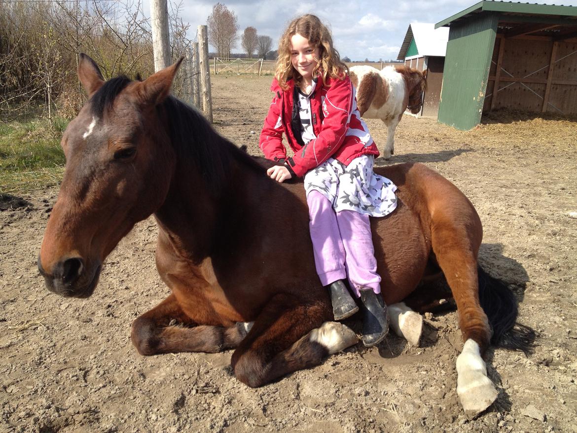 Traver Mac Farlane billede 10