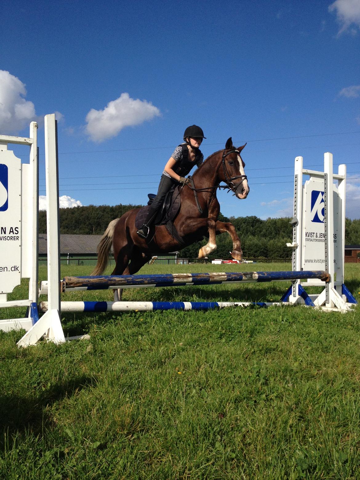 Anden særlig race Lucky SOLGT billede 16