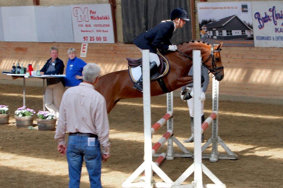 DSP Skelhøjs Affair - Sadelkåring 2012. Hun fik 8 i kapacitet, 8 i ridelighed, 8 i teknik og 8 i galop. billede 1