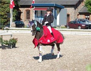 Welsh Pony (sec B) Silver A-pony - Velkommen til Silver's profil. Billedet er fra DM 2013 hvor jeg fik bronze :D

DM!!!!! BRONZEMEDALJE  billede 1