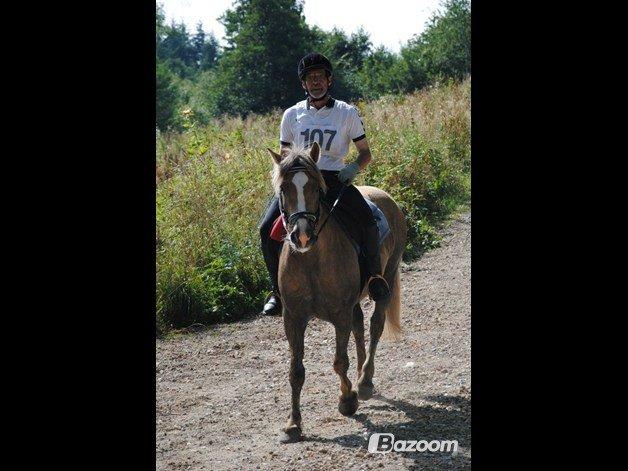 Anden særlig race RAS "Flotte fyr" - Harry på hans hest Langsø 2012 billede 20