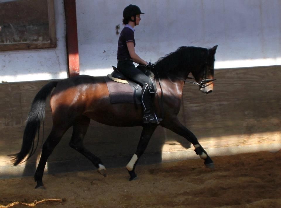 Oldenborg *-* Østerhjelms Labell *-* billede 6