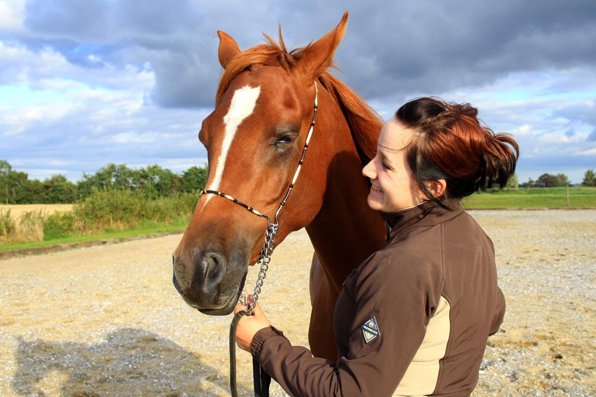 Arabisk fuldblod (OX) Finally Al-Bait OX 5493 SOLGT ! billede 12