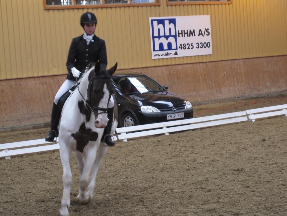 Anden særlig race Maglebjergs Color Girl - Stævne på Hillerød sportsrideklub - LC2 billede 9