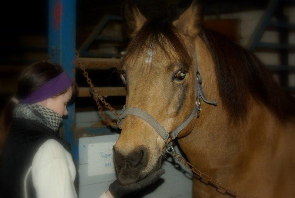 Anden særlig race Topper Too billede 5