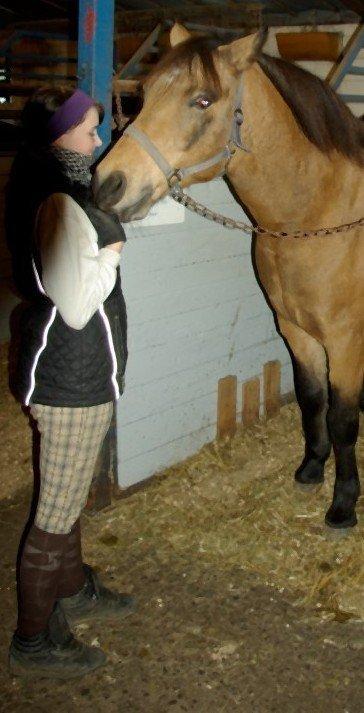 Anden særlig race Topper Too billede 9