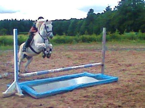 Anden særlig race Junker <3 - You're fucking perfect to me<3 billede 11