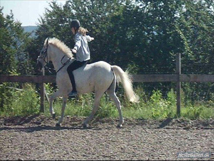 Anden særlig race Junker <3 - Jeg stoler på dig, min aller bedste ven (-: billede 14