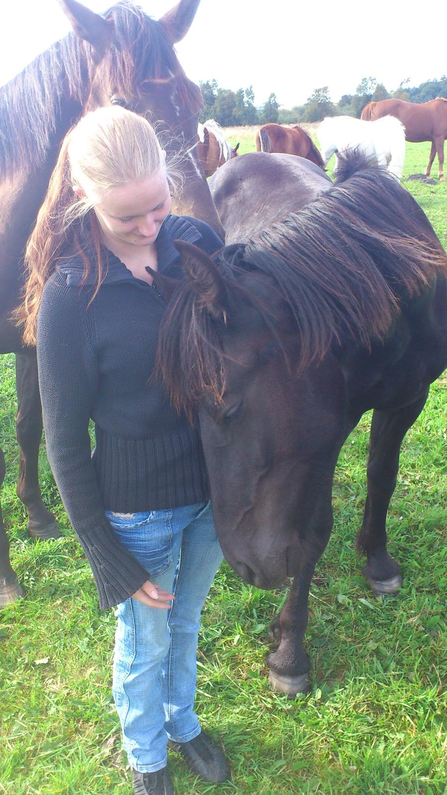 Frieser Klaas *Bæstet* - Han ligner en der virkelig nyder det :) billede 7