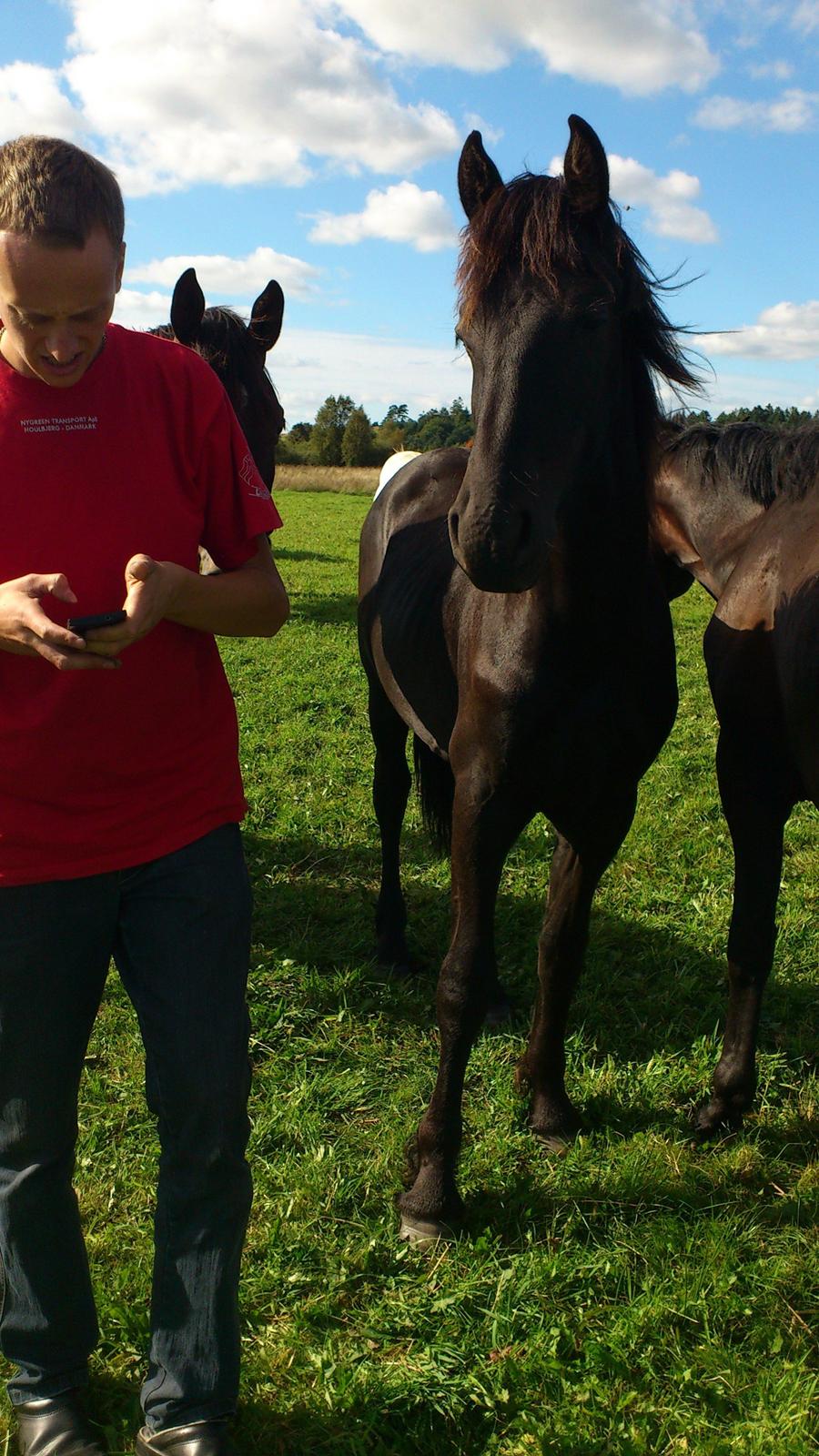 Frieser Klaas *Bæstet* - Kasper's mobil ringer. Se Klaas i hovedet. Han siger: Hvorfor stoppede du? Hva laver du? Klø mig. billede 13