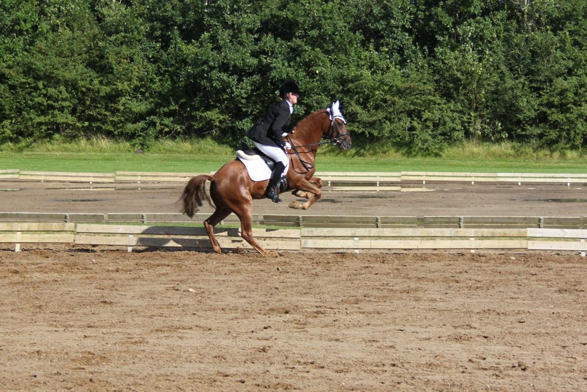 DSP Floridor - james bond ham selv..:-D
 billede 17