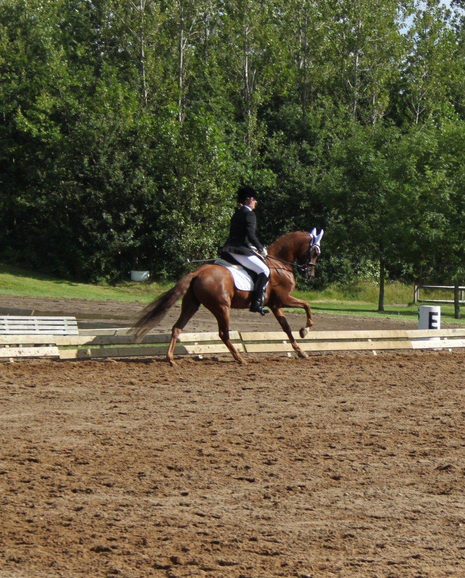 DSP Floridor billede 18