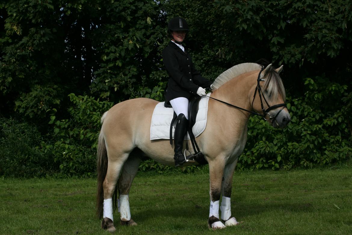 Fjordhest Højgaards Induc - 1 stævne til 64,67 % i en LD1. 1/9 2012 i Mejlby Rideklub billede 11