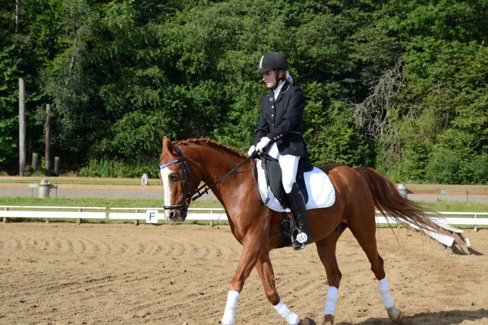 Hollandsk Sportspony Edo - Foto Emilie Laursen
Hinnerup 2012 billede 17
