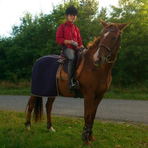 Anden særlig race Lindholms Line<3 RIP:'(:'(<3<3 - Sød type!<3 Efter dagens træning, den 0-09 2012! :-D billede 9