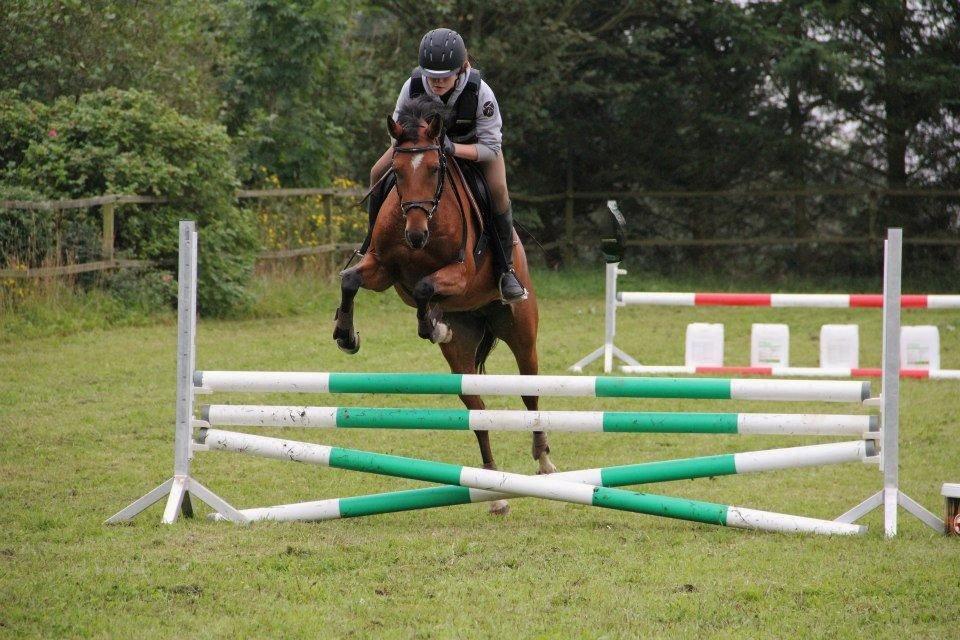 DSP Bohøjgårds Noki<3 - Spring kursus, Rasmus Rise (-: billede 18