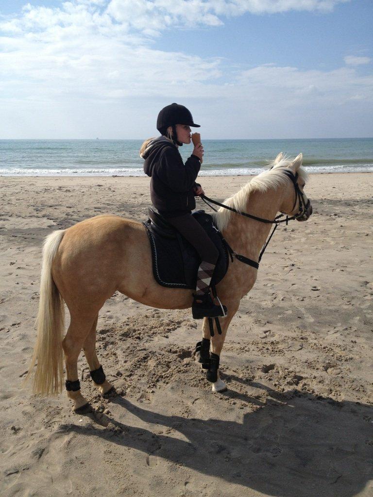 Anden særlig race mille<3 - vi var på stranden og fik is<3 og det var mega hyggeligt<3 fra billede 7 til 9<3 billede 7