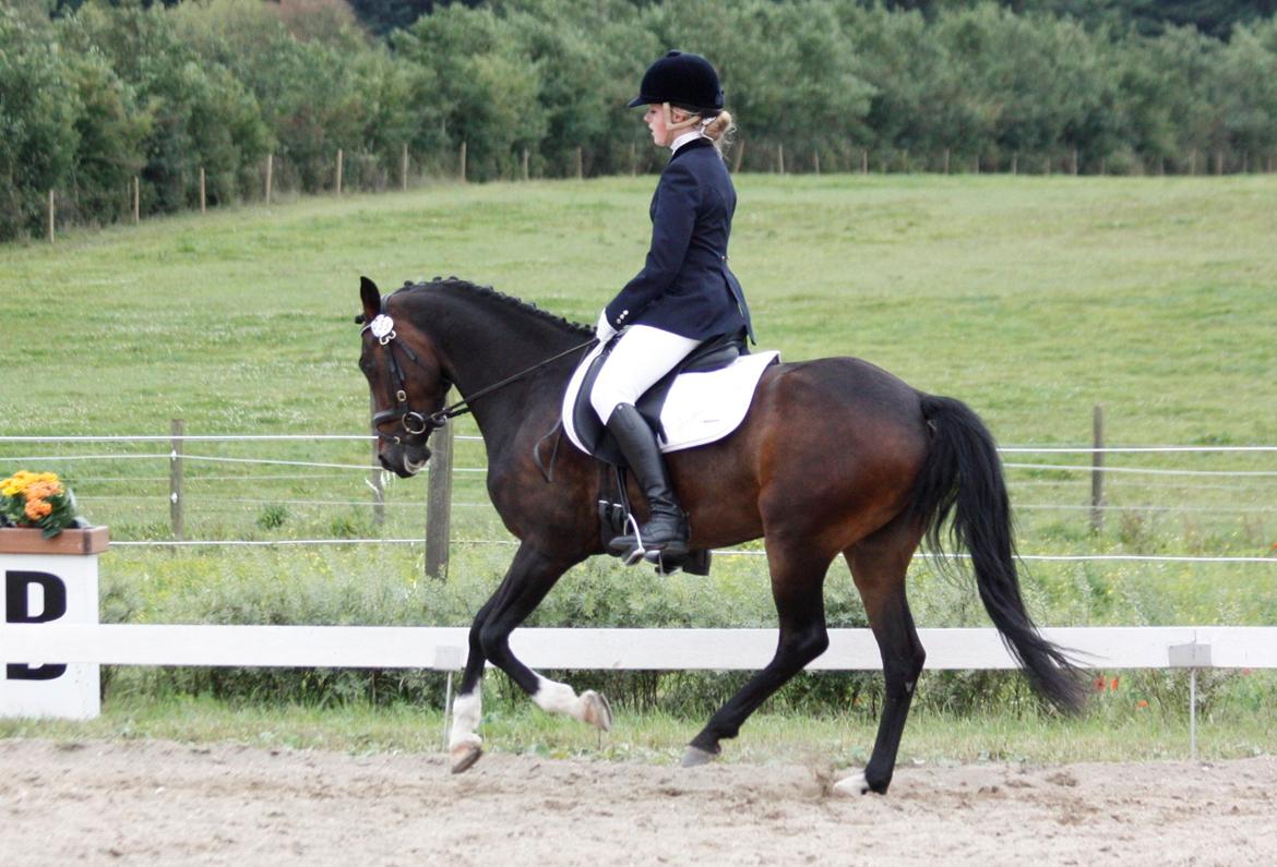 DSP | Vasehøjs Kasira | - 1 sep. 2012, DSP championat billede 18