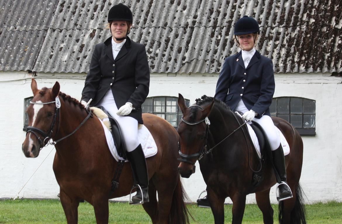 DSP | Vasehøjs Kasira | - 1 sep. 2012, DSP championat billede 19