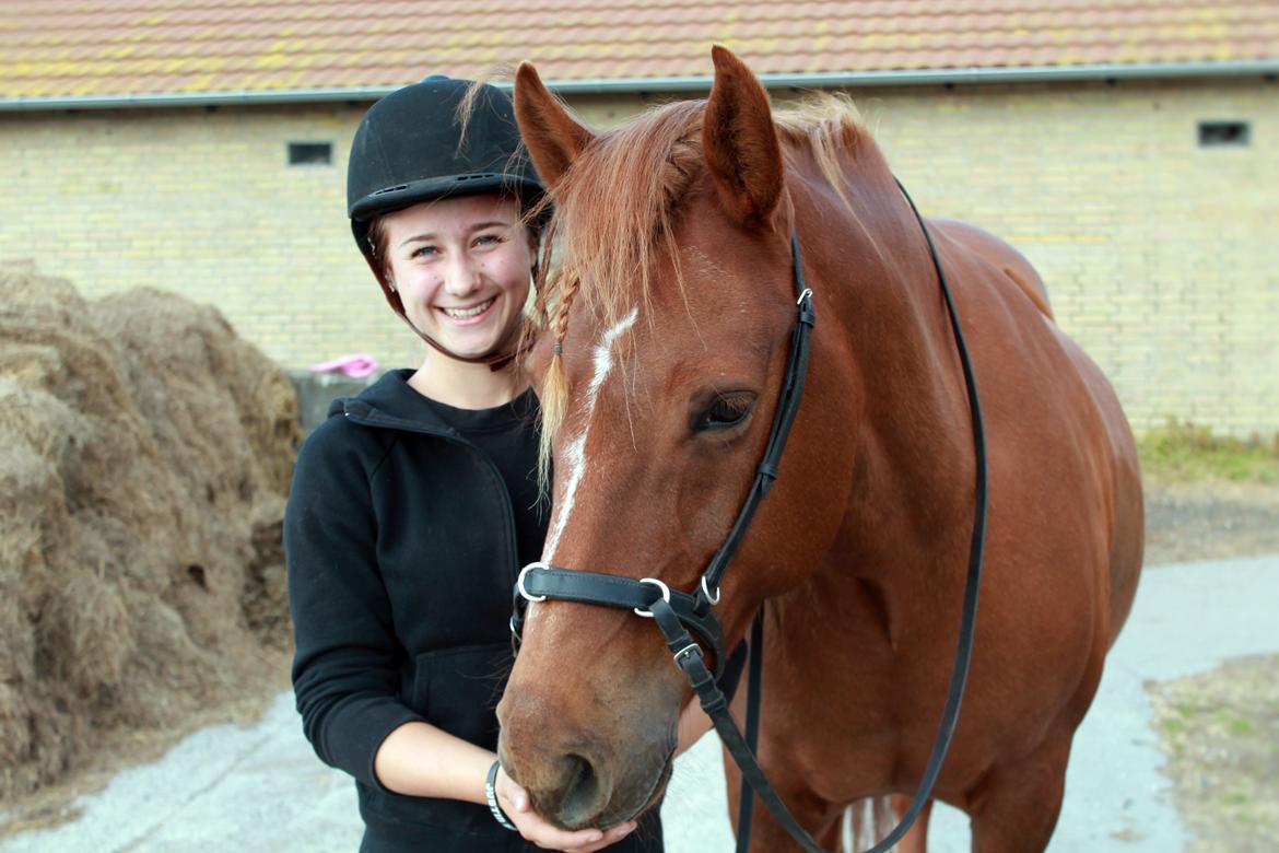 Anden særlig race Chanel billede 17