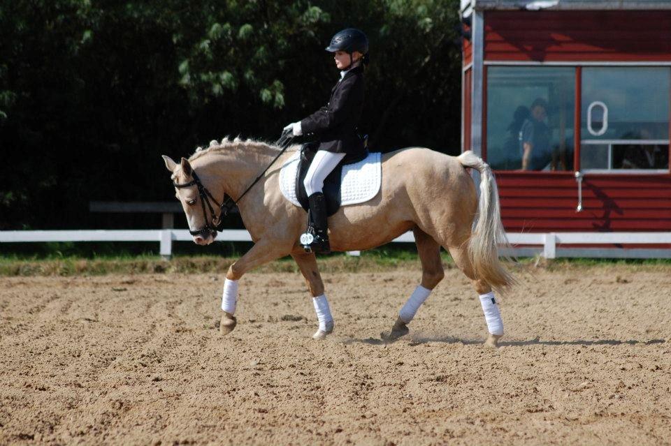 Anden særlig race mille<3 - stævne 2012<3 en flot 2. plads:) fra billede 16 til 20<3
Det var vores første LB1.;)<3 billede 16