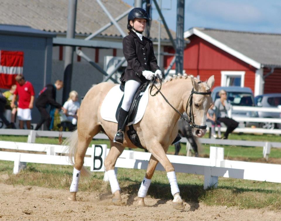Anden særlig race mille<3 - Vores første LB1;) billede 18