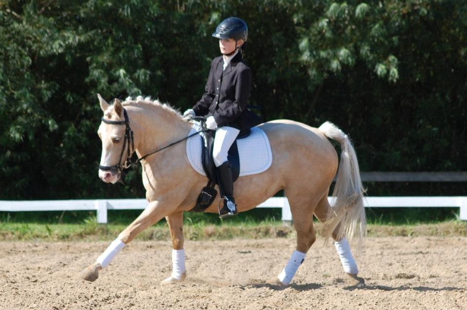 Anden særlig race mille<3 - Første LB1.:):) billede 20