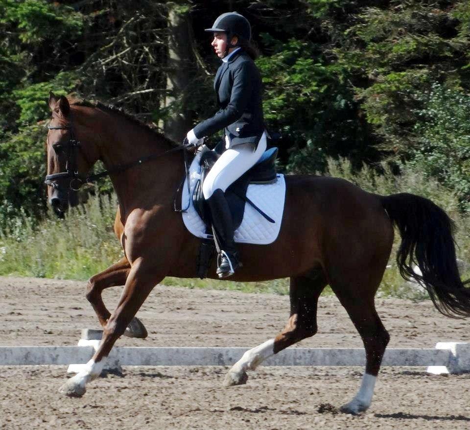 Anden særlig race Big Brother - Mig og Big til stævne 1/9-12. LB1. Foto: Marianne billede 2