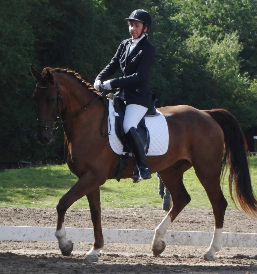 Anden særlig race Big Brother - Mig og Big til stævne 1/9-12. LB1. Foto: Marianne billede 4