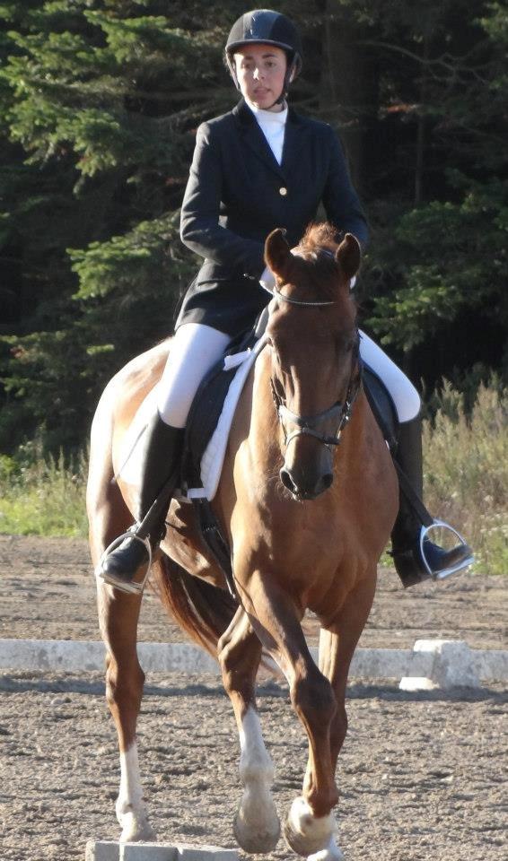 Anden særlig race Big Brother - Mig og Big til stævne 1/9-12. LB1. Foto: Marianne billede 8