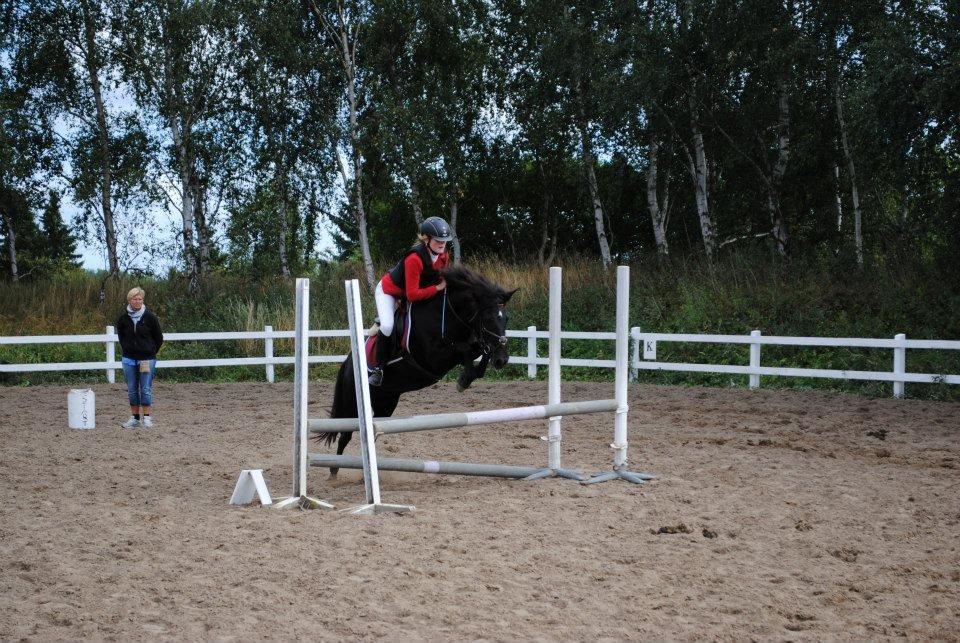 Islænder Litla *Mit et og alt* - Stævne på EDAL 70 cm d. 1/8 2012

Foto:katja billede 17