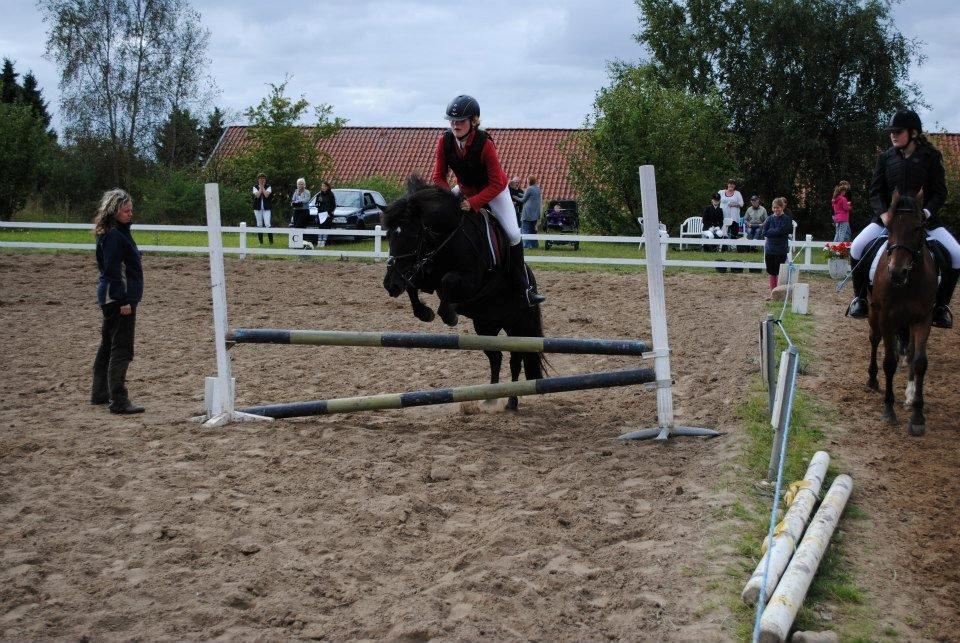 Islænder Litla *Mit et og alt* - Stævne på EDAL 70 cm d. 1/8 2012 Foto:katja billede 18