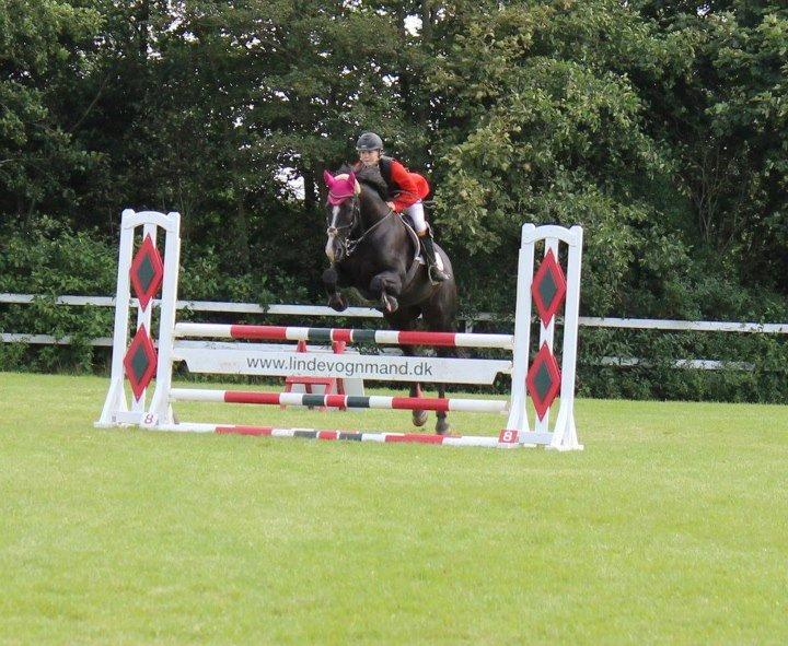 Oldenborg Josefine Fjellerup - VBH -<3 [Prinsesse] - Stævne i Mejlby 2014 billede 24