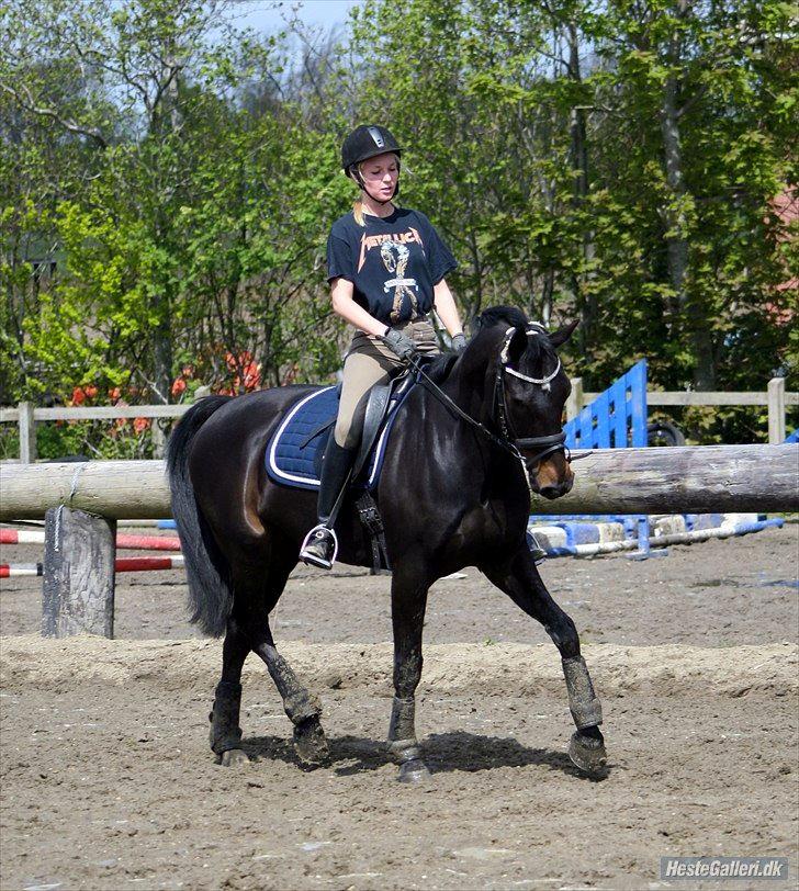 Anden særlig race Magic Dancer - Fotograf: Marianne Eiby 
D. 17. maj  2012 billede 18