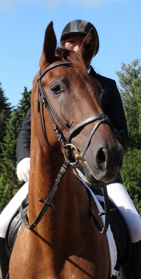 Anden særlig race Big Brother - Smukke Big <3 Foto: Marianne billede 10