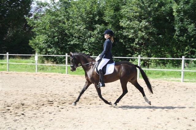 DSP Bøgely`s Celine - Stævne Ryttergården i Ravnkilde billede 2