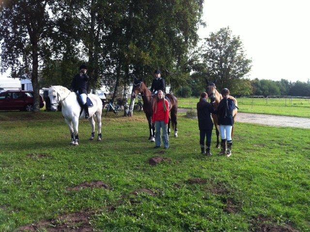 Anden særlig race Mickey billede 11