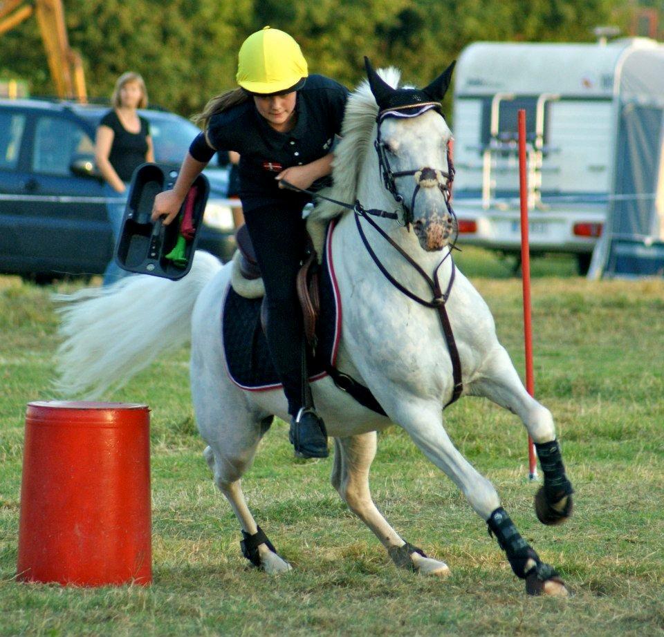 Anden særlig race Fantazy - DM indi. mounted games
2012 billede 1