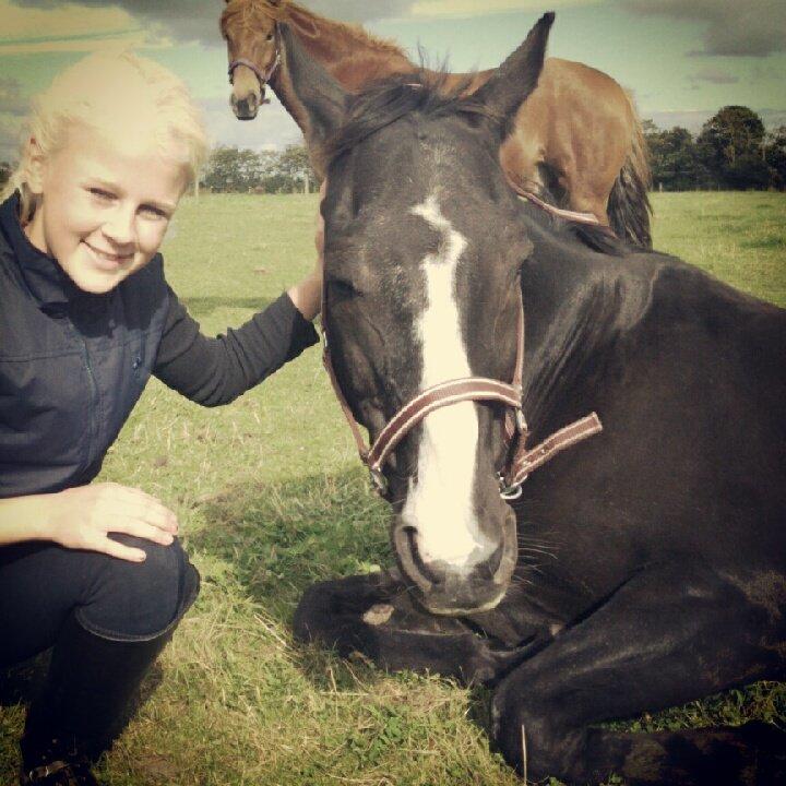 Anden særlig race Apollo - Best freinds billede 2