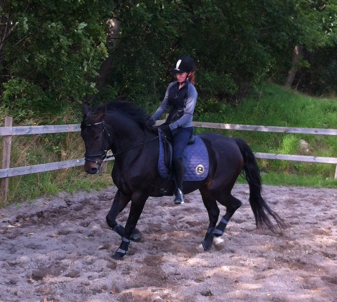 Anden særlig race Melina billede 10