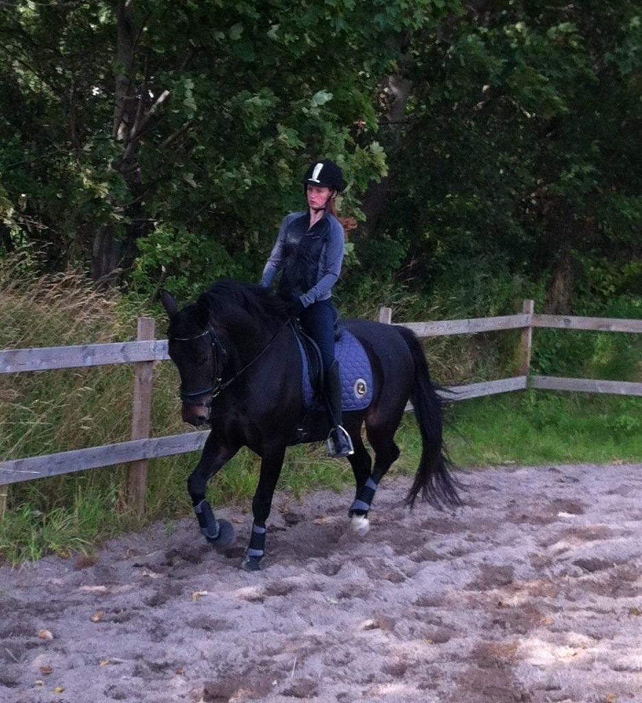 Anden særlig race Melina billede 11