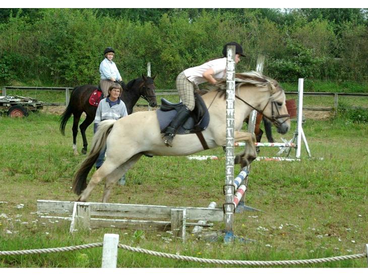 {{currentPhoto.altText}} billede {{currentPhoto.number}}