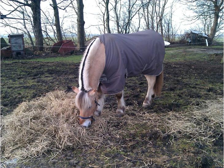 {{currentPhoto.altText}} billede {{currentPhoto.number}}